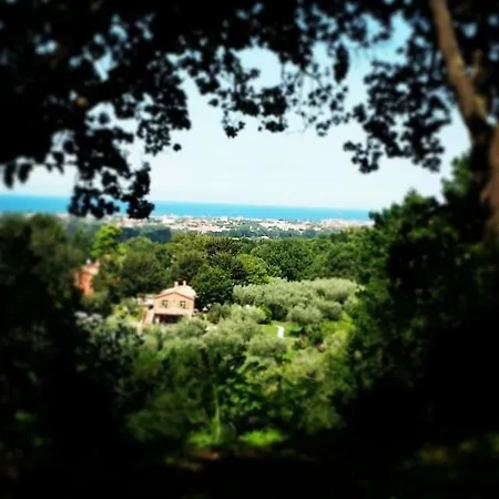 La Barca Nel Bosco Panzió 3*