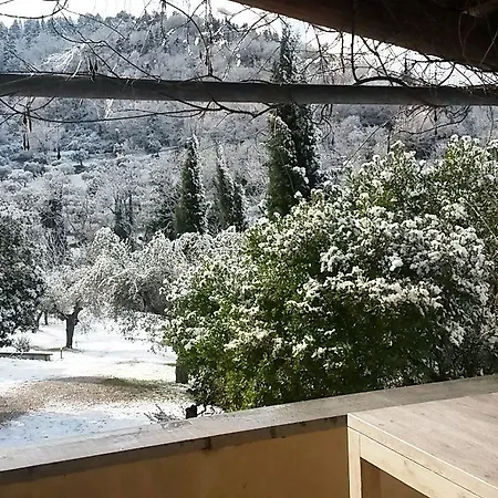 Bed & Breakfast La Barca Nel Bosco