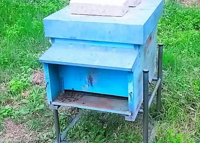 Bed & Breakfast La Barca Nel Bosco Rosciano (Marche)