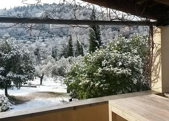 Bed & Breakfast La Barca Nel Bosco